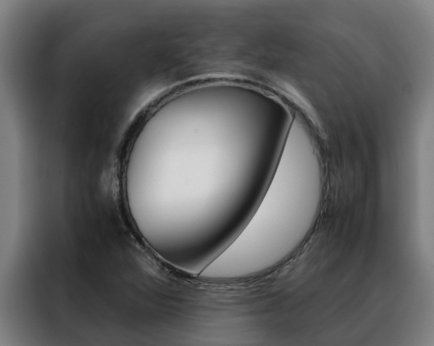 X0000088481360200705220952