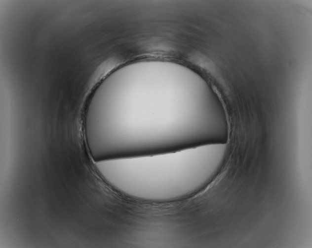 X0000088481362200705220952
