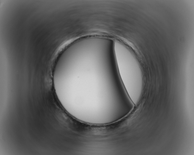 X0000088481363200705220952