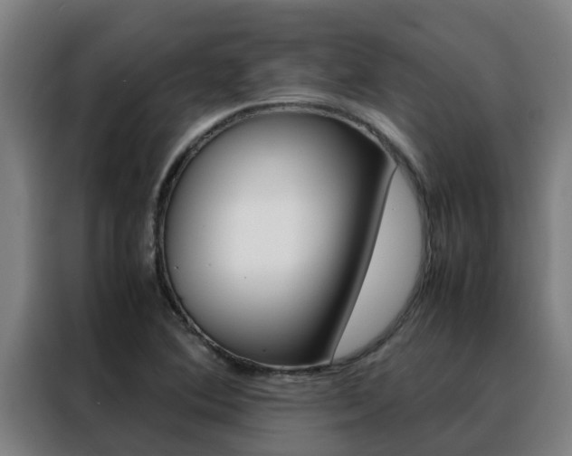 X0000088481364200705220952