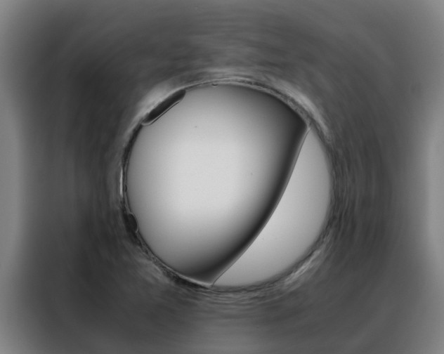 X0000088481365200705220952