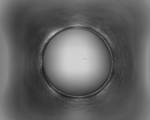 X0000088481367200705220952