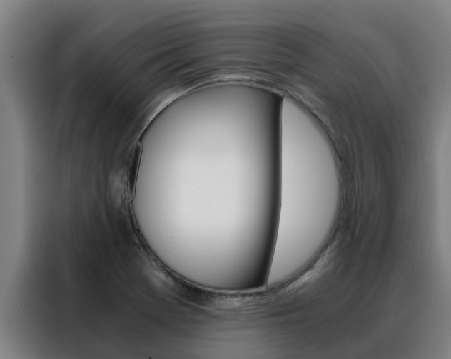 X0000088481369200705220952