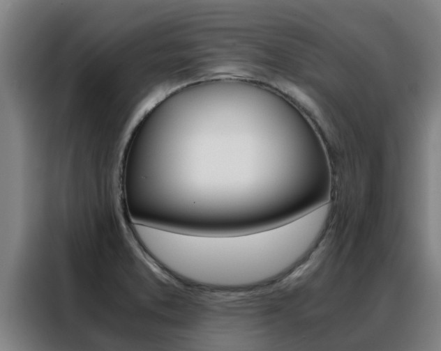 X0000088481373200705220952