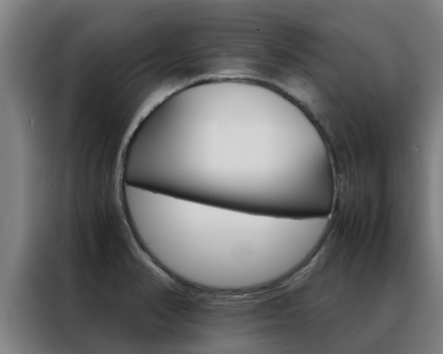 X0000088481374200705220952
