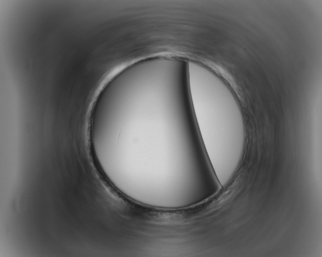 X0000088481375200705220952