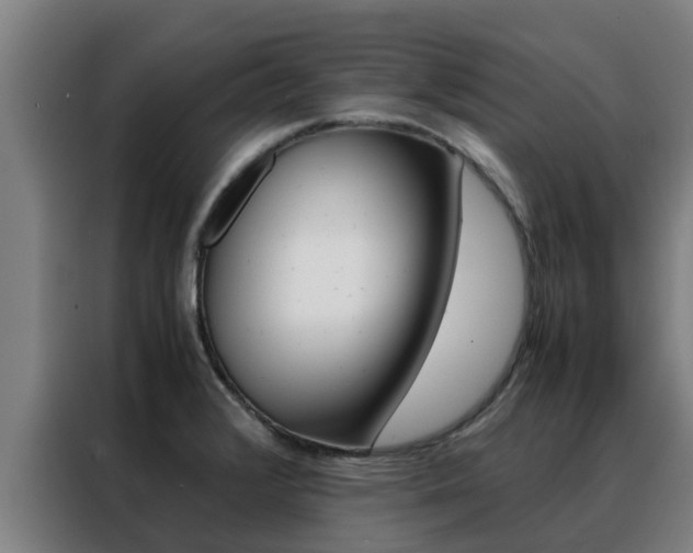 X0000088481376200705220952