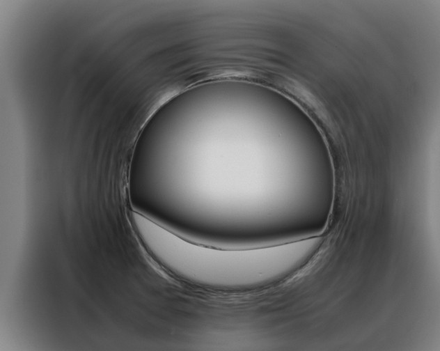 X0000088481377200705220952