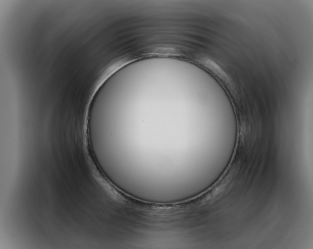 X0000088481378200705220952