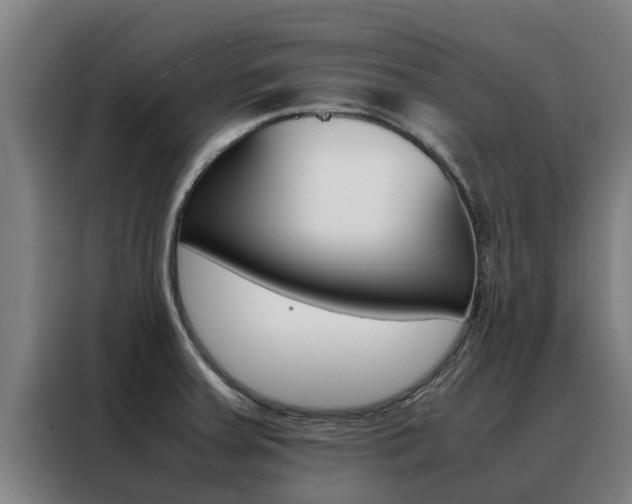 X0000088481379200705220952