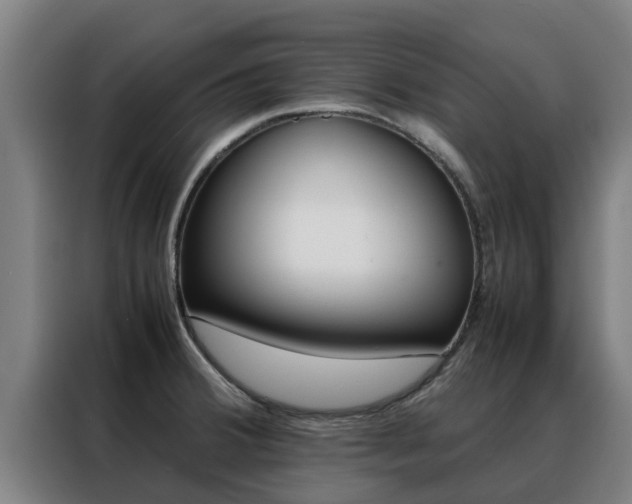 X0000088481380200705220952