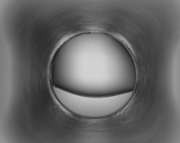 X0000088481381200705220952