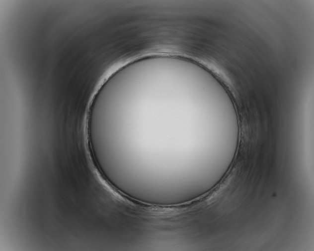 X0000088481382200705220952