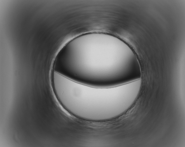 X0000088481383200705220952