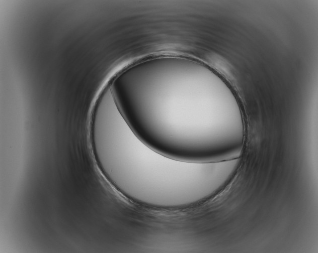 X0000088481384200705220952