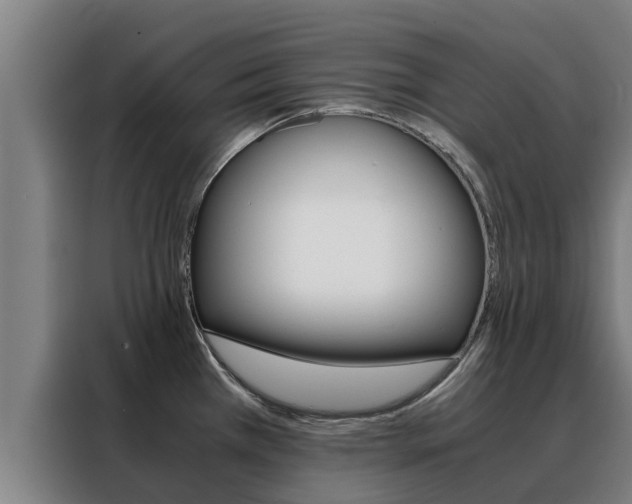 X0000088481385200705220952