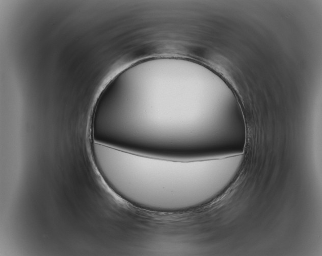 X0000088481387200705220952