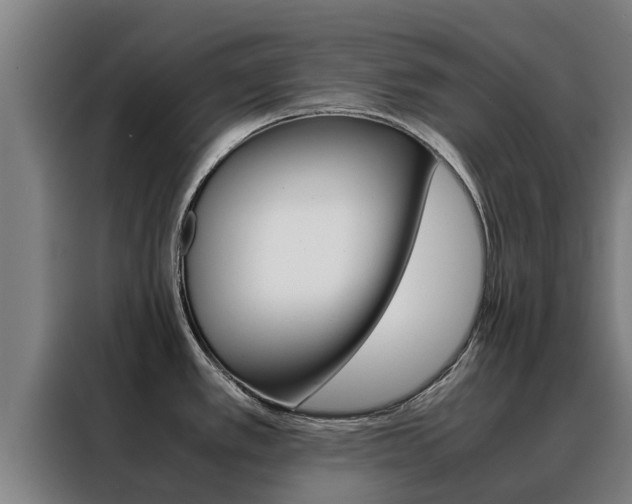 X0000088481389200705220952