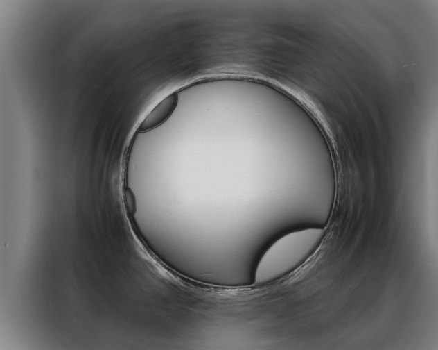 X0000088481390200705220952