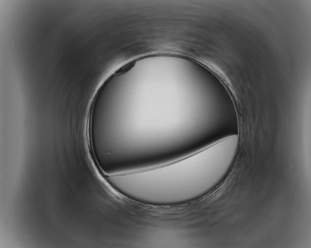 X0000088481391200705220952