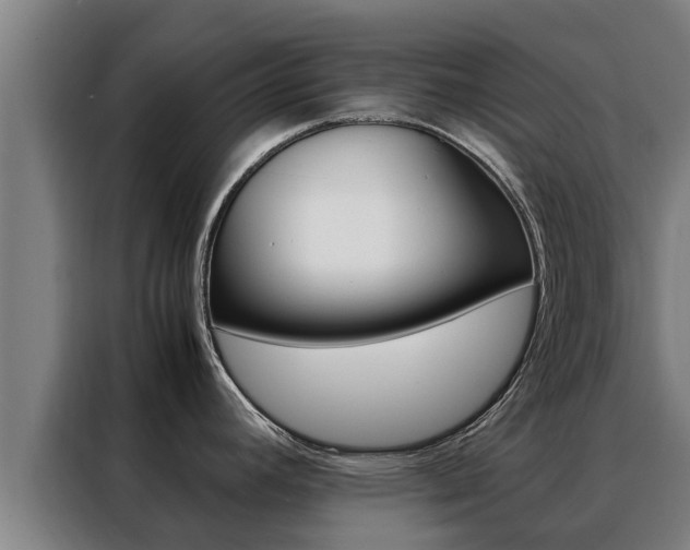 X0000088481392200705220952