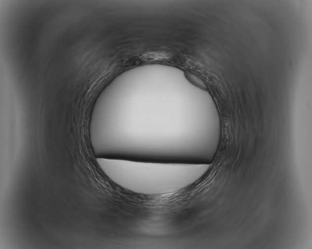 X0000088481393200705220951