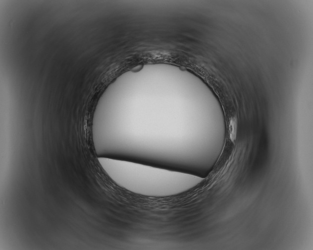 X0000088481395200705220951