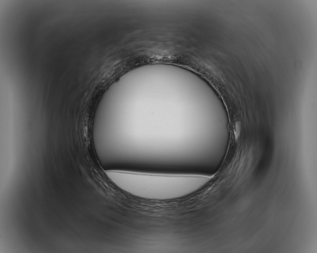 X0000088481396200705220951