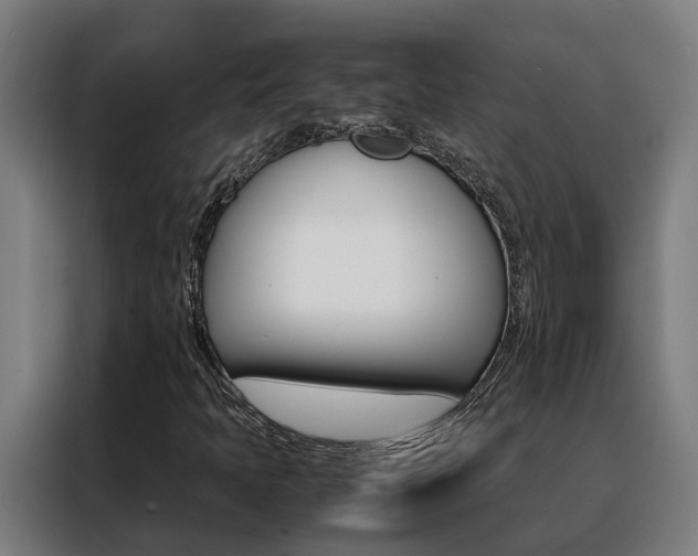 X0000088481397200705220951