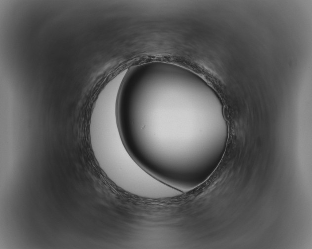 X0000088481398200705220951
