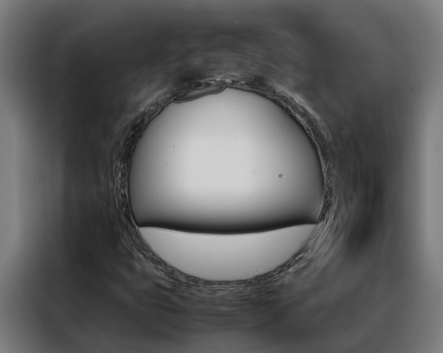 X0000088481399200705220951