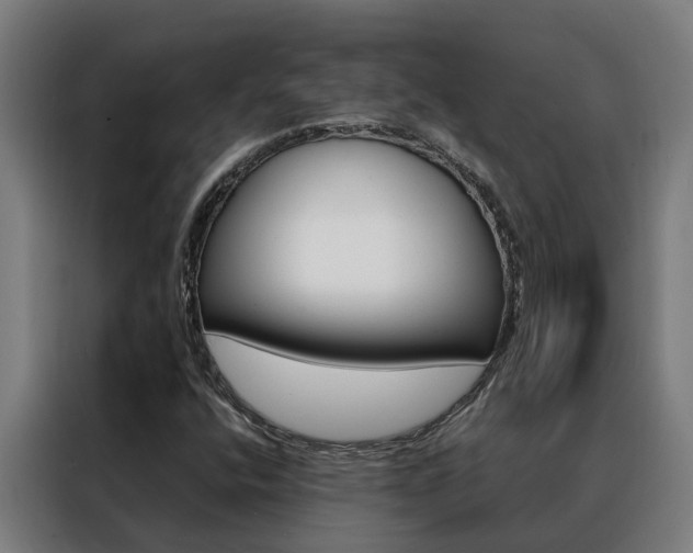 X0000088481400200705220951