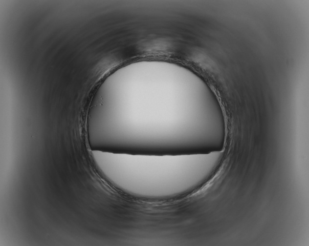 X0000088481401200705220951