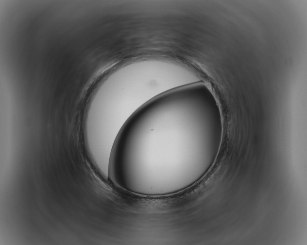 X0000088481402200705220951