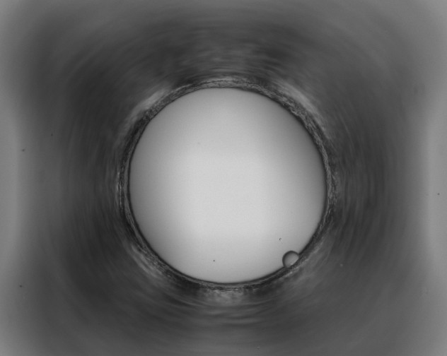 X0000088481403200705220951