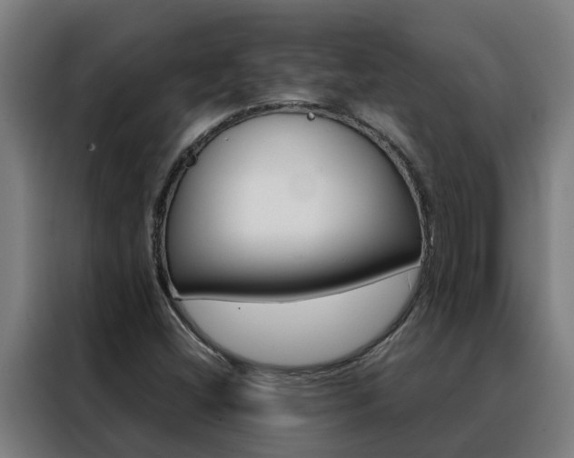 X0000088481404200705220951
