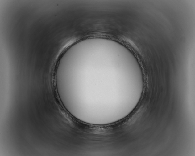 X0000088481405200705220951