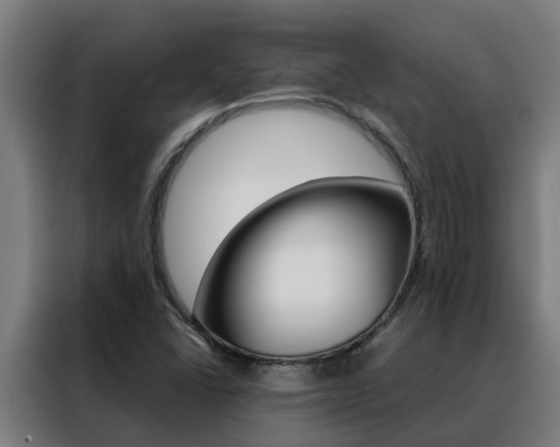 X0000088481406200705220951