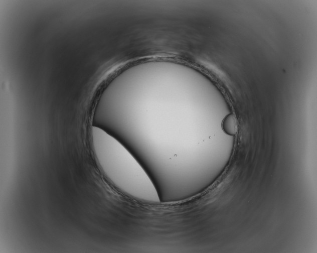 X0000088481407200705220951