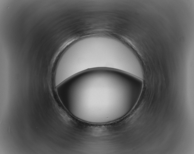 X0000088481410200705220951