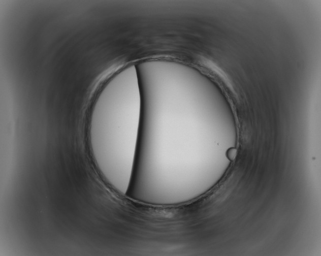X0000088481411200705220951