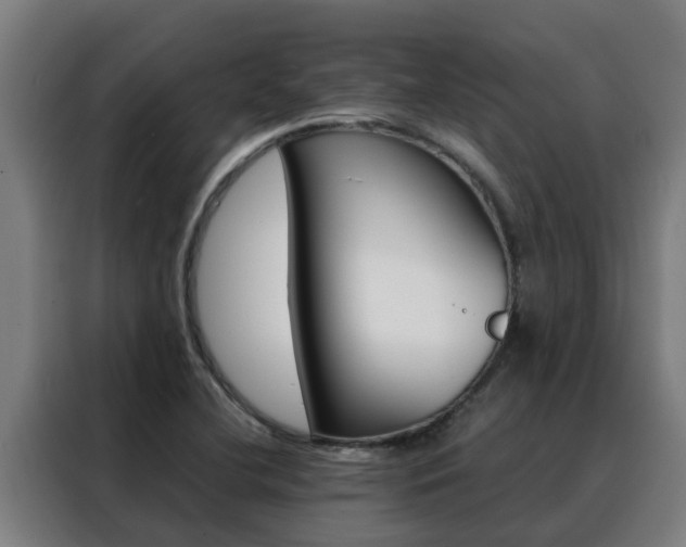 X0000088481412200705220951
