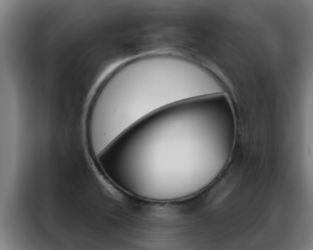 X0000088481416200705220951
