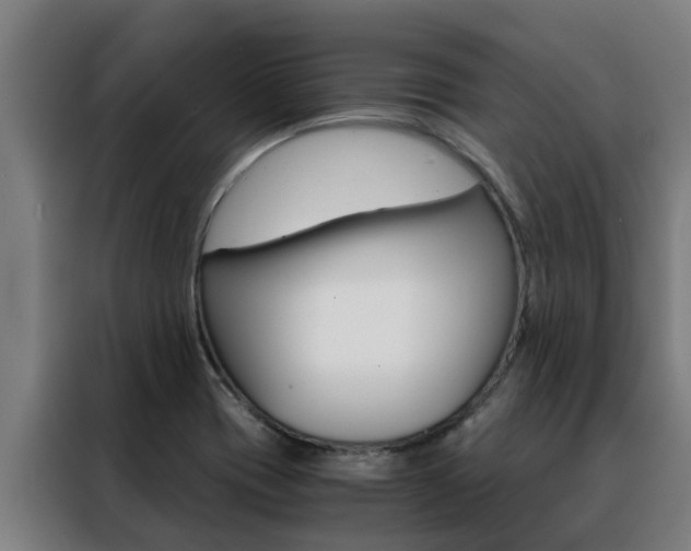 X0000088481417200705220951