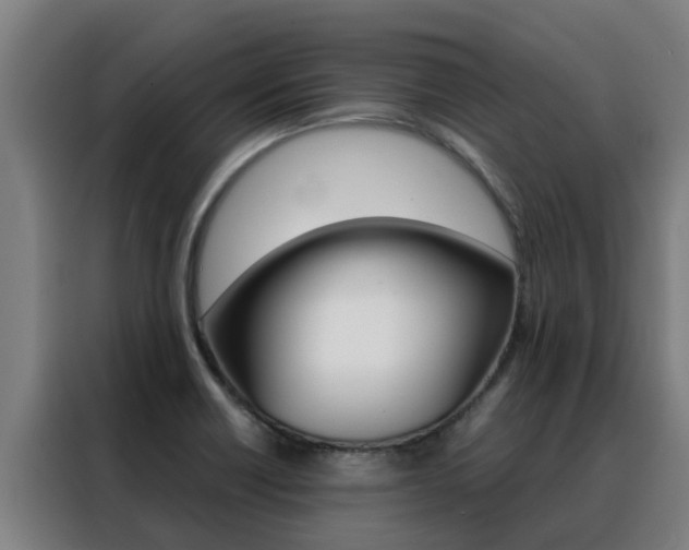 X0000088481418200705220951