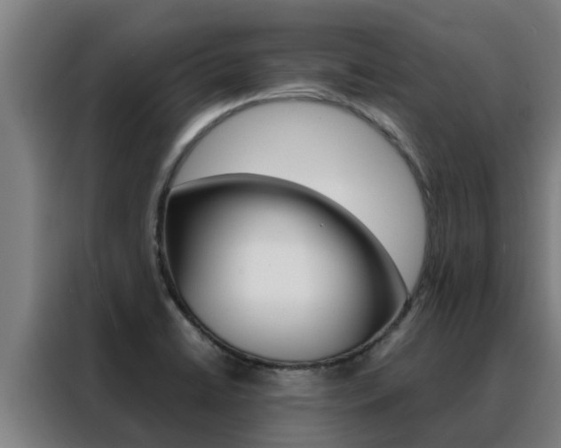 X0000088481422200705220951
