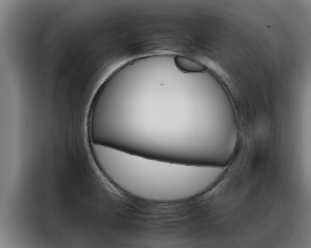 X0000088481423200705220951