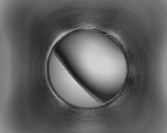 X0000088481424200705220951