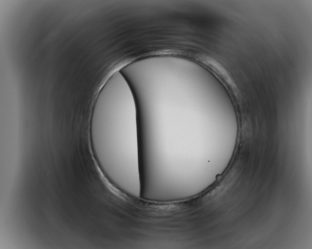 X0000088481425200705220952