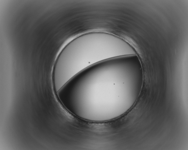 X0000088481428200705220952